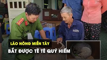 Lão nông miền Tây bắt được tê tê quý hiếm nặng 8 kg