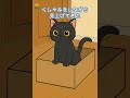 猫を拾って16年がたった…#2ch #猫 #感動する話