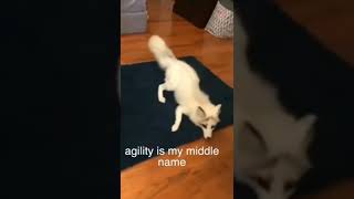 Hoo Haa Hoo Haa Hoooo