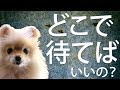 目から鱗！待てないあなたに贈る、チャートの未来を知る方法。