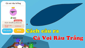 Cách Lọc Bóng 5 Săn Cá Hiếm | Thành Công ra Cá Voi Râu Trắng | Play Together