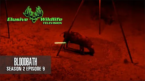Elusive Wildlife S2:E9: BLOODBATH, Literally | Pigman Part 3 | 10 yard Earhole Shot | Hog Bow-kill