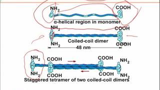 BIO734_Topic173