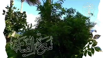 سورة القيامة كاملة