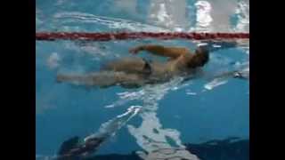 LibreEspaldaYouTube.flv