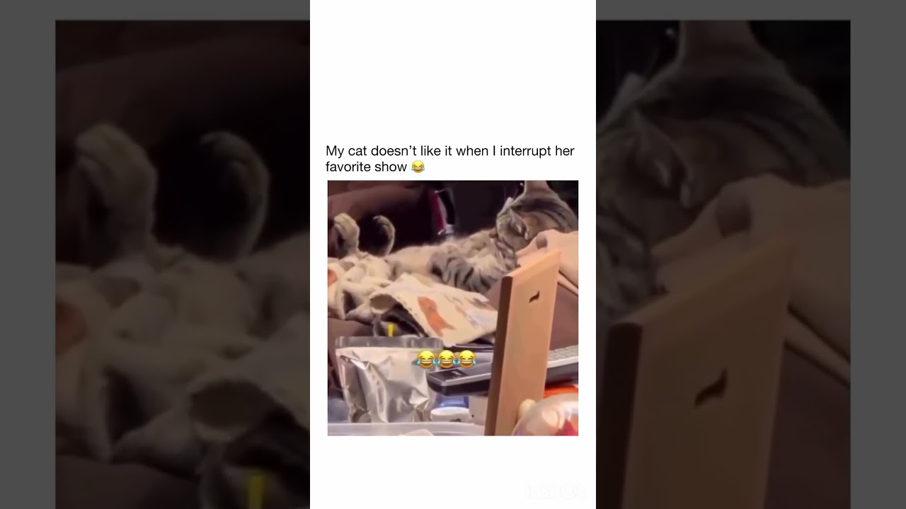 The Side eye is crazy 😝