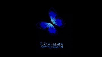 صباح الخير🦋 اجمل حالات واتس اب مقاطع قصيره🦋 قران كريم سورة التغابن يسبح لله مافي السموات🦋 بدون حقوق