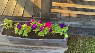 Дача, наш ремонт в квартире, спальня, немного покупок! видео