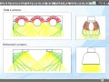 Maxlite sp ratio  delivered lumens vs total lumens  august 29 2013 webinar