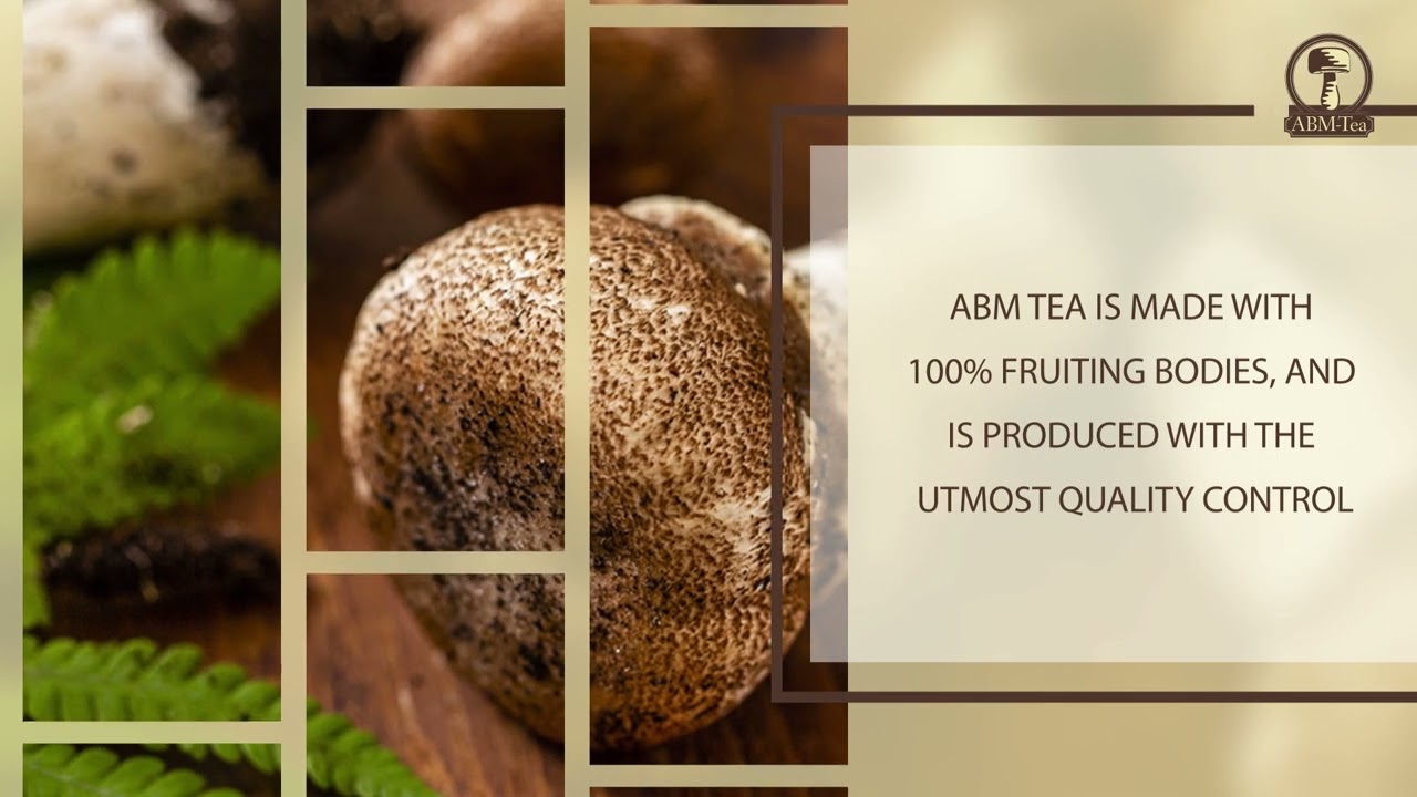 Agaricus Blazei Murill - Mushroom of God