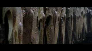 The Lord Of The Rings - Varg - Schildfront