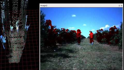 Agricultural Environment Obstacle Detection using a Stereo Camera and Neural Networks - People