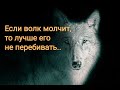 Цитаты волка  Афоризмы известных людей о волках