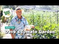 Tomato Garden Tour (Placer County)