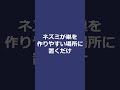 【ラットバリア プロ】
