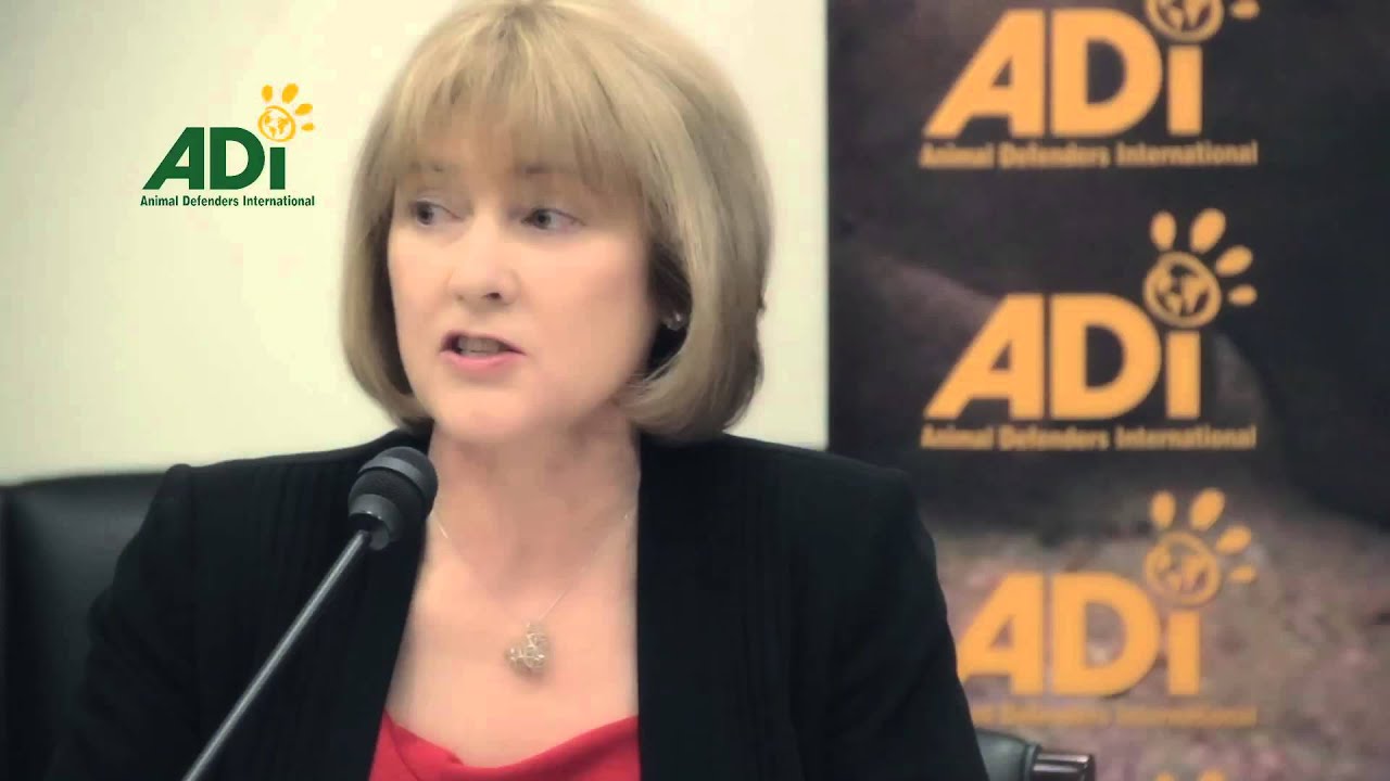 Jan Creamer addresses US Congress