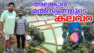 ORNAMENTAL FISH FARM NEAR KEEZHILLAM FRIENDS FISH FARM