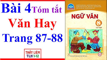 Ngữ Văn 8 Bài 4 | Văn Hay | Trang 87 - 88 | Chân Trời Sáng Tạo | Tóm Tắt