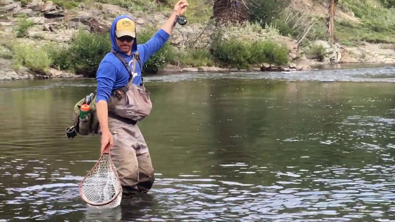 Fly Fishing Alberta 2018 YouTube