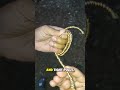 “Messy Rope to Perfect Wrap — So Satisfying!”