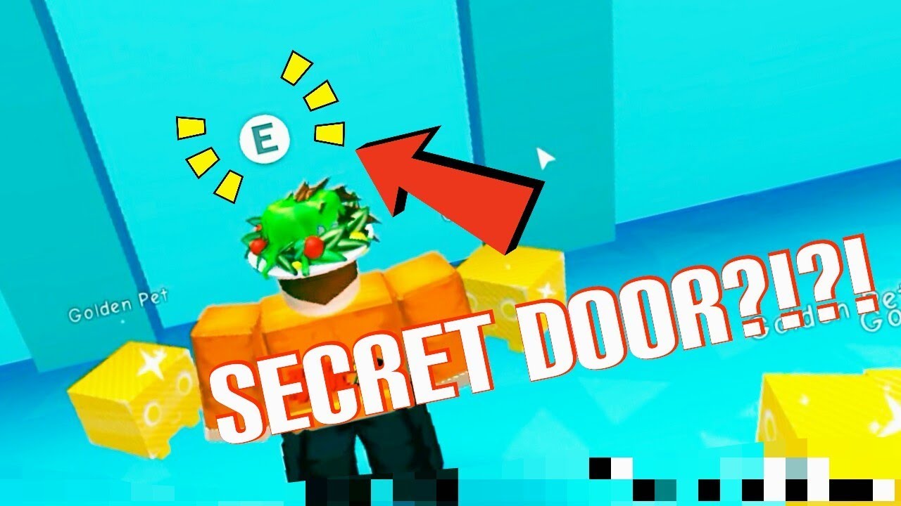 Secret Door In Pet Simulator Youtube - roblox snow pet simulator secret portal zone glitch