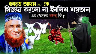 হযরত আদম (আ.) কে সিজদা করলো না ইবলিশ শয়তান বজলুর রশিদ ওয়াজ ।Bazlur Rashid Waz । Bangla waz