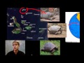 Evidence of Evolution Through Natural Selection and the Contributions of Darwin and Wallace