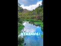 紐西蘭北島「蒂芬妮藍泉」美如仙境　順遊鐵皮波浪板小鎮 #紐西蘭