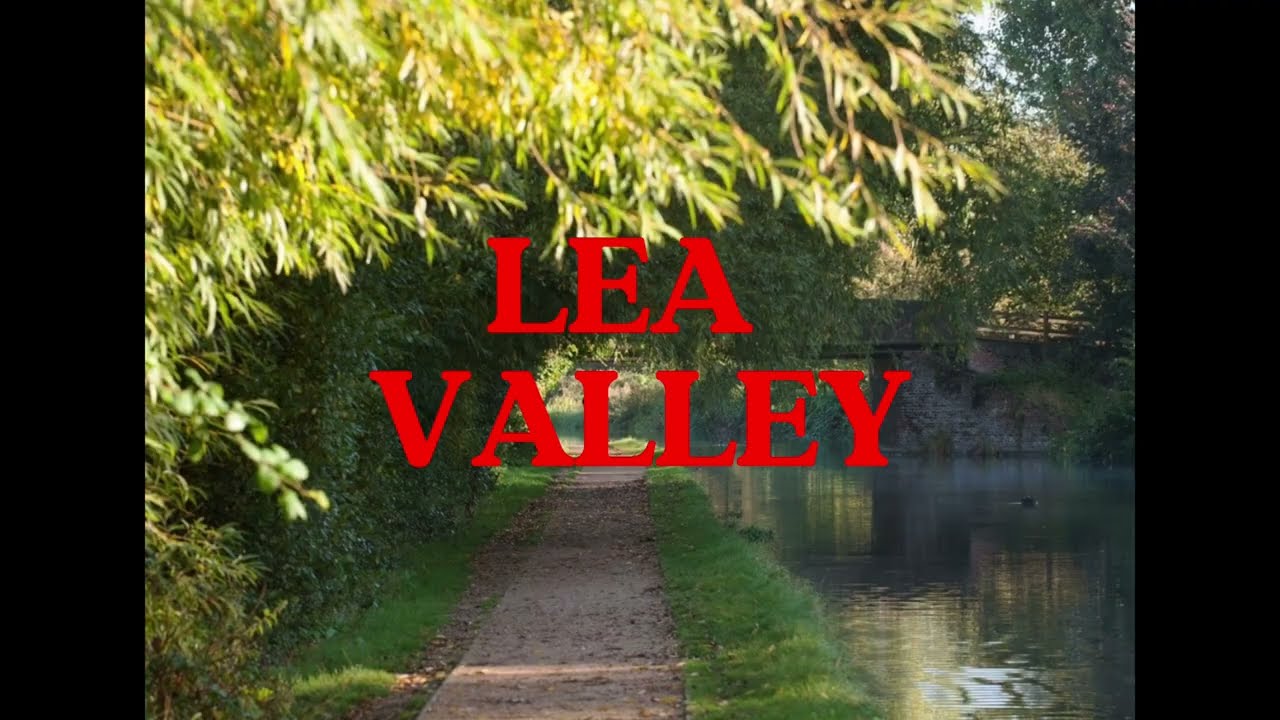 My IRP: Future Ecological Visualisation of Endangered Species in the Lea Valley