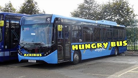 the backseat song by boot ts