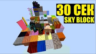 картинка: 30 СЕКУНД - РАНДОМНЫЙ SKY BLOCK (Перезалив JustSnake)
