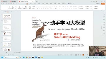 【动手学习大模型 2/12】理解 tokens 和 embedding （有较好基础同学不推荐观看），这个视频讲了 LLM 中的token 和 embedding 关系和用法