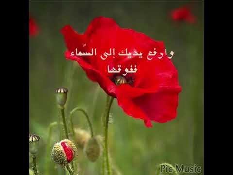 وإذا الش دائد أقبلت بجنودها والد هر من بعد المسر ة أوجعك لا ترج شيئا من أخ أو صاحب