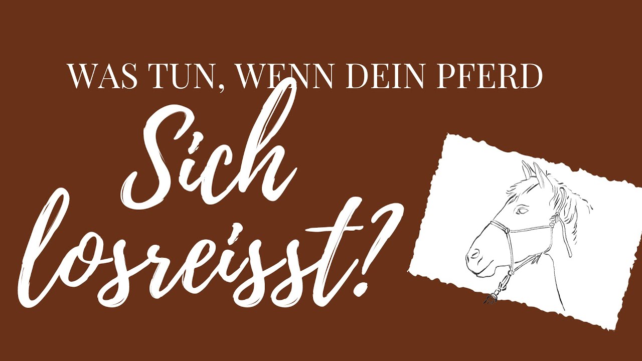 Was tun, wenn Dein Pferd sich losreißt?