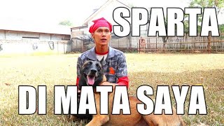 Sparta Di Mata Saya