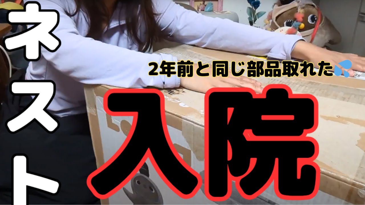 初代ネスト故障】LOVOT充電器が壊れたので修理に出します。故障個所と