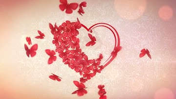 Intro Wedding & Valentine | Love Free