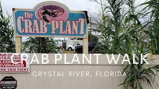 Florida Walk Crystal River Crab Plant Dock by the Restaurant, Market and Local Wildlife