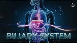 Biliary System Reset: Complete Liver, Gallbladder & Pancreas Rejuvenation (Morphic field)