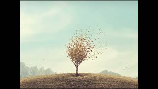 [FREE] Acoustic Pop Punk Type Beat No Drums  Don’t Look Back