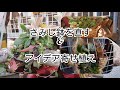 [多肉植物]さみし鉢を直そう&寄せ植え