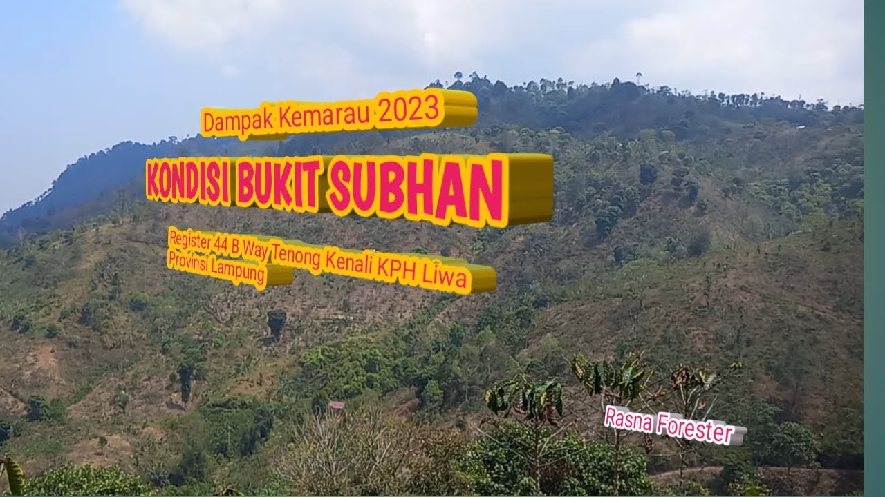 Kondisi Bukit Subhan Register 44 B Way Tenong Kenali
