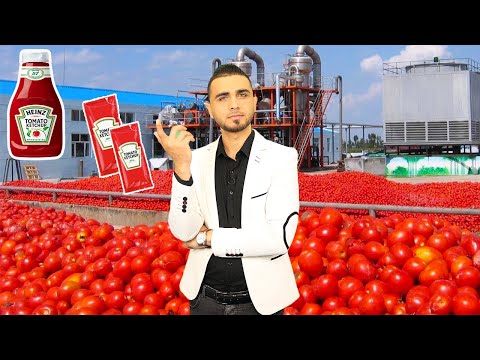 جولة في مصانع الكاتشب والمايونيز