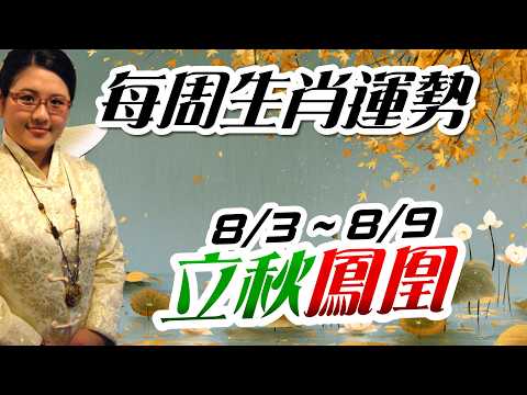 立秋守運。2026生肖運勢週報|8/3-8/9|金玲老師