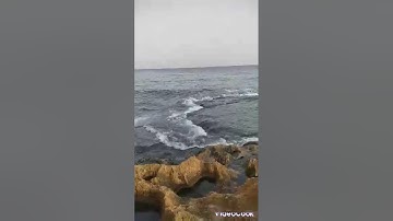 ما تيسر من سورة آل عمران أبو عبد الله عبد اللطيف الجزائري محرم١٤٤٥