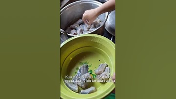 Thumbnail of Tutorial Pembuatan Nugget Lele