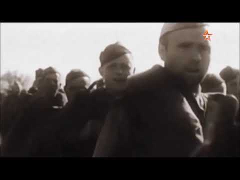 Булгакова Соня. Воспоминание о прадеде Булгакове Дмитрии Васильевиче. х. Кочки