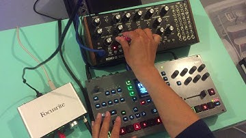 ELEKTRON OCTATHACK MK2 MIDI with Moog Mother32