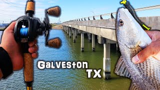 Best Bridge Fishing in Galveston Texas!