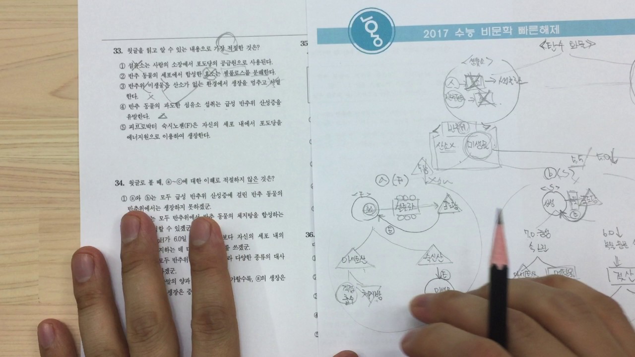 2017 수능 국어 비문학 해설 2  반추위